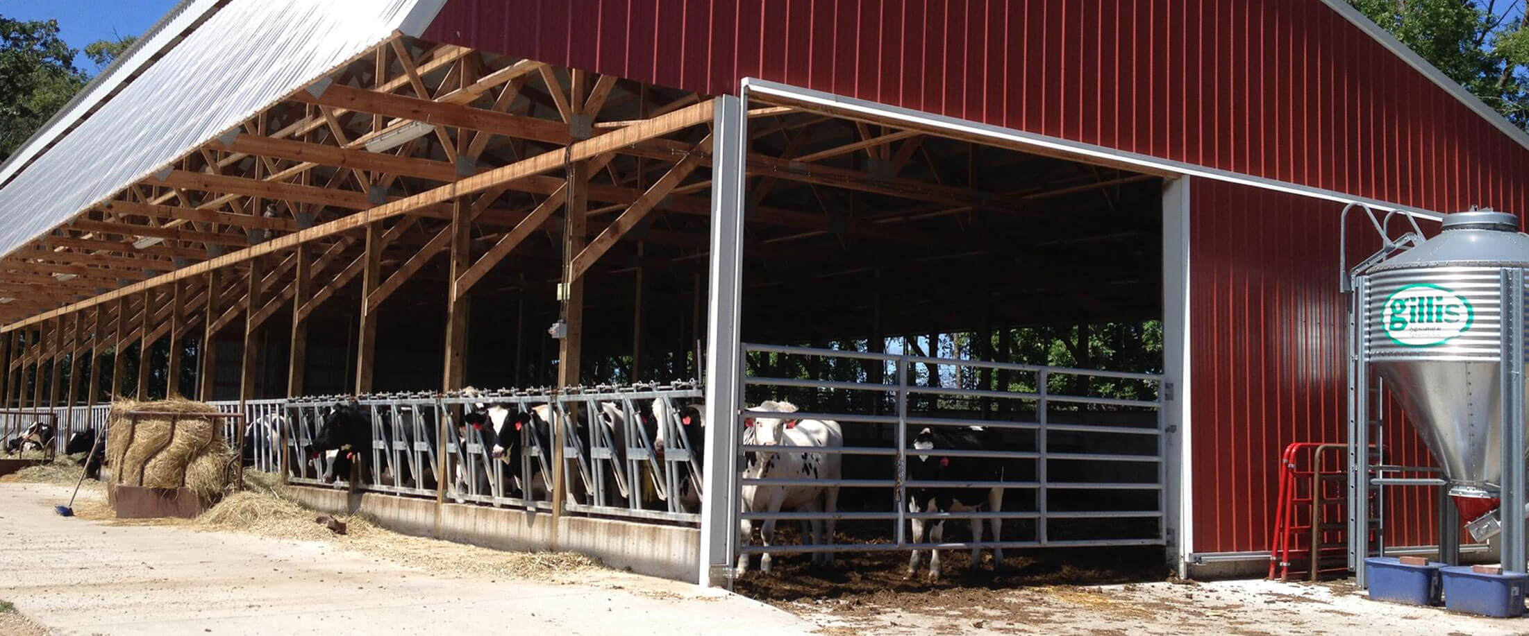 Newly completed calf barn with materials and construction services provided by Lifestyle Lumber